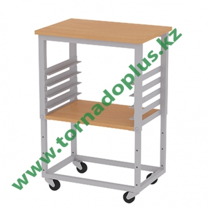 Стол ТСО ШS 0219 500*300*470/720